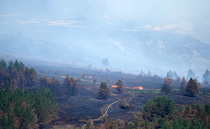 Letters: "One wonders how long the idiocy of this Government will continue by ignoring the danger of wildfires"