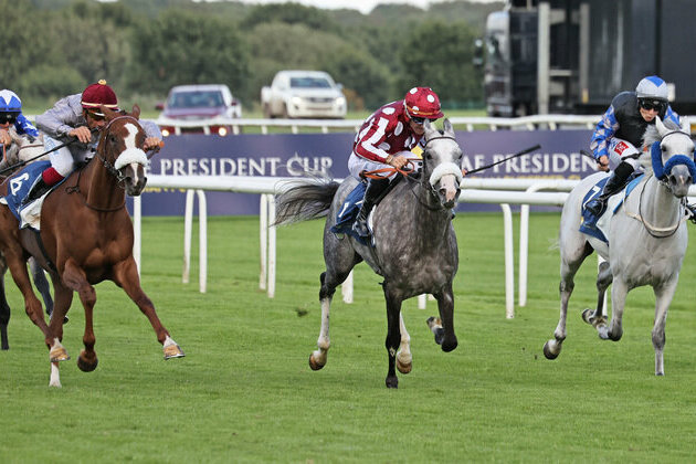 UAE President's Cup for Purebred Arabian Horses in Doncaster opens tomorrow