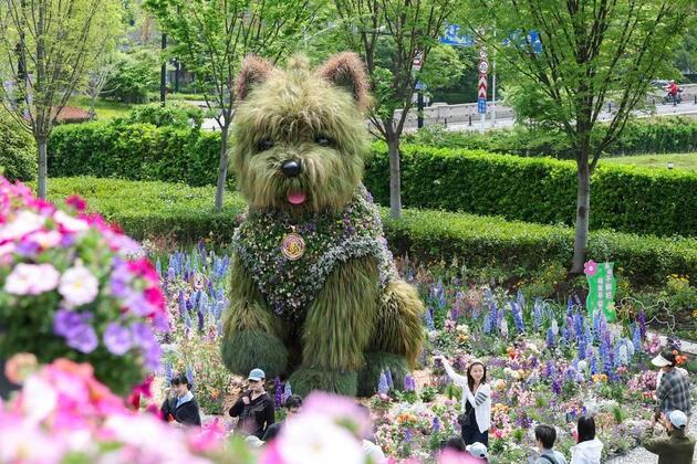 InPics | City-wide flower show kicks off in E China's Shanghai