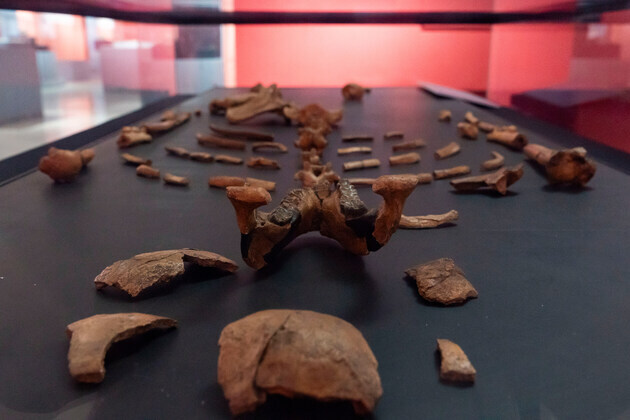 ETHIOPIA-ADDIS ABABA-NATIONAL MUSEUM