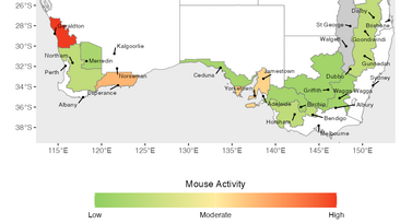 Estimated relative mouse activity in Winter 2026 (June - August) across each GRDC agro-ecological zone (broad regions defined by similar climate, soils, and farming systems).