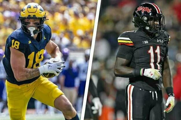 College rivals relishing new dynamic as Bears teammates