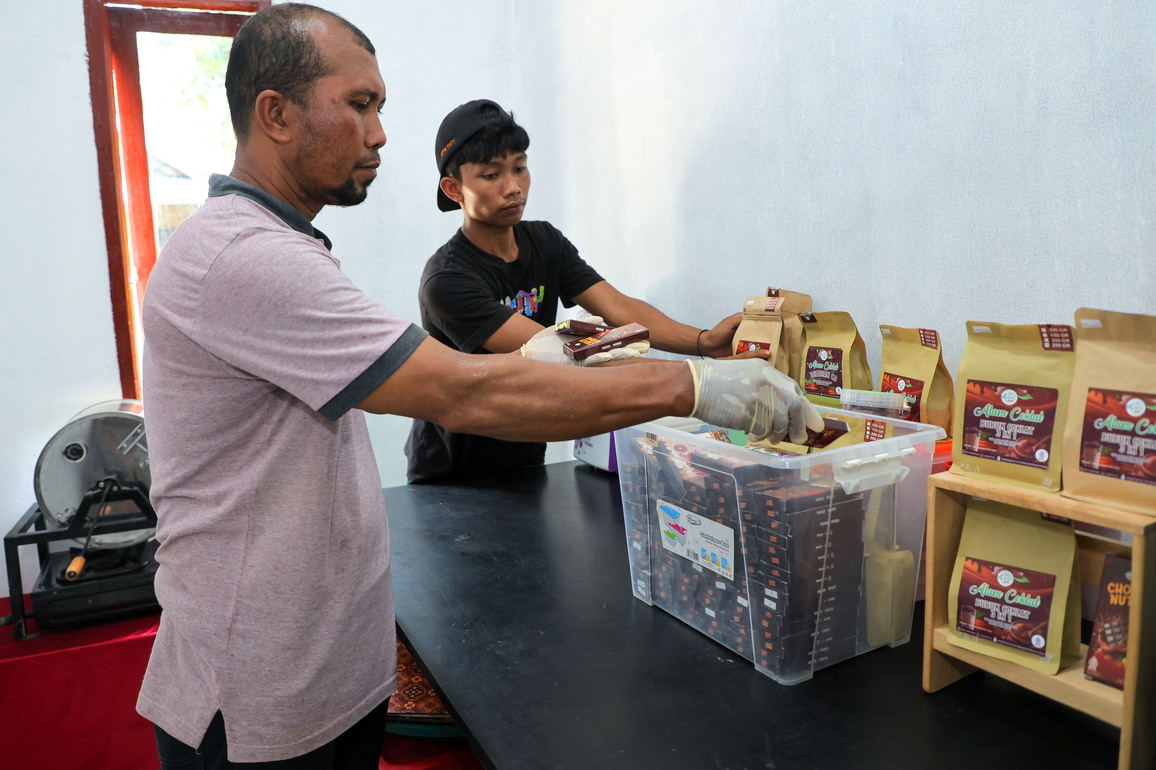 INDONESIA-ACEH UTARA-COCOA-PRODUCTION