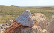 Lots of lithium at Pilbara's Pilgangoora