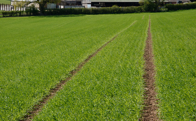 Spring barley has been particularly tricky this season for Scottish growers