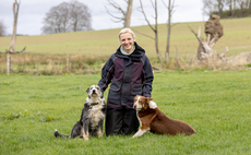 Low input EasyCare system delivers for Aberdeenshire shepherd