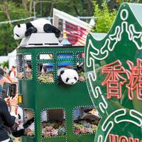 Hong Kong tourism strives to grow with new strategies