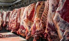 A cold carcase grading camera, which is designed to reduce grading variability and enhance carcase value, has been approved for use in Australia. 