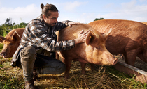 From commodities to community – how one farmer transformed his arable system