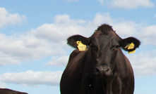 Taking on the challenge of agriculture in Brazil