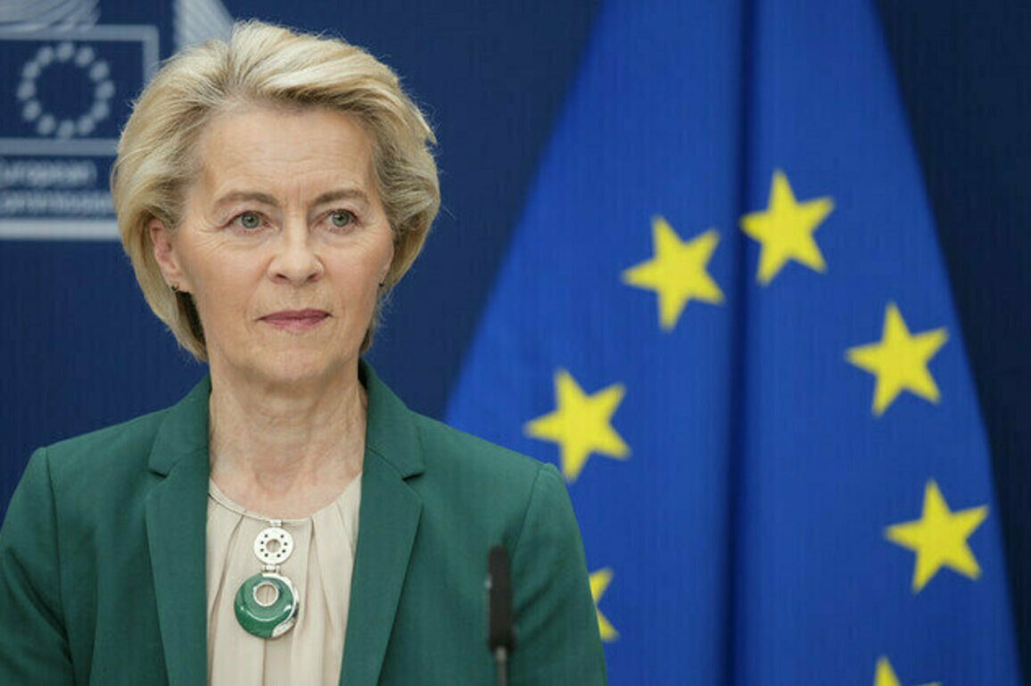 Claim Russia blocked von der Leyen jet GPS is false  Flightradar
