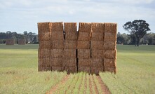 Agriculture Victoria is urging people buying hay in from Queensland and NSW to be aware of the risk of red imported fire ants.