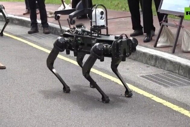 Taiwan unveils armed robot dogs 
