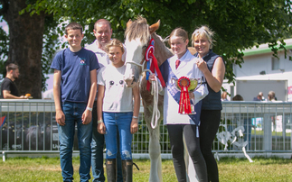 Royal Highland Show preview: Hoping for a repeat win in the Clydesdale section