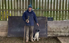 NSA Highland Sheep Preview: Scottish Young  will battle it out to be top dog  