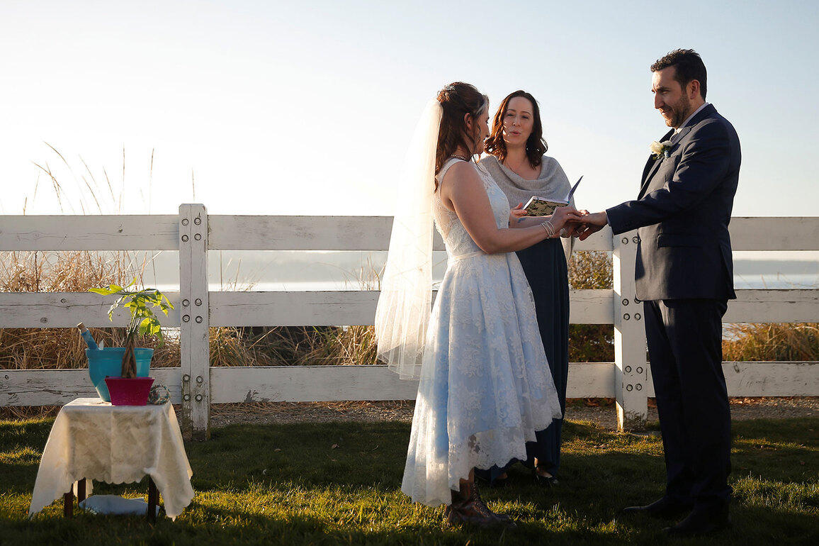 Indian destination weddings drive steady rise in overseas travel insurance demand: Report