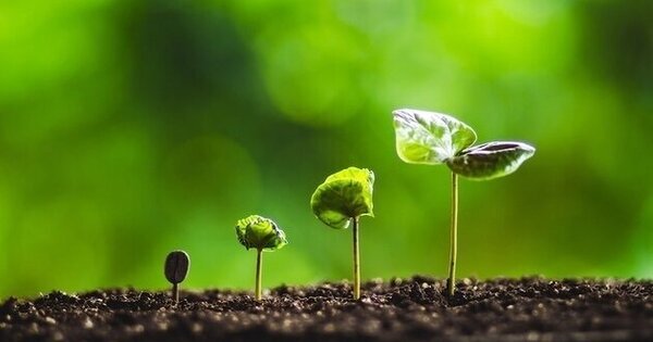 Resilience for Moldovas future: Can NATO provide greater support