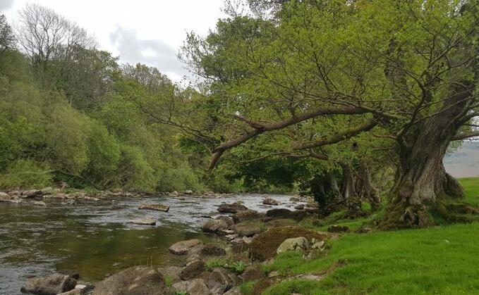 Samples of the affected water had represented the sample contained 'poisonous, noxious or polluting matter' which would have been 'potentially harmful' to aquatic life in a receiving waterway. (Generic)