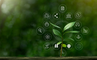 How a Strategic Nature Network could unlock £600bn in benefits for the UK