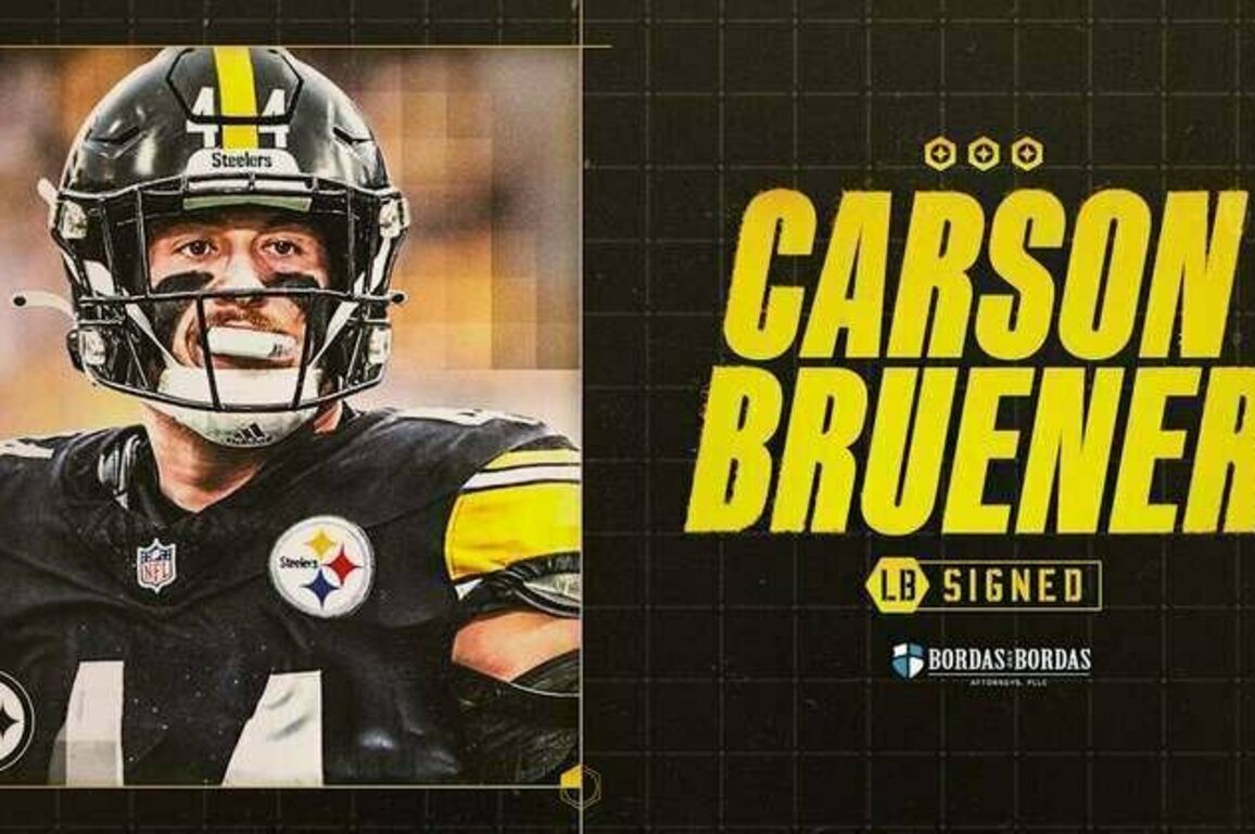 Steelers sign Bruener