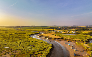 Norfolk advice firm declared failed