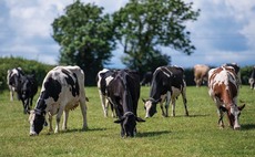 Medina to close liquid processing site despite 1ppl price increase for August