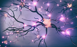 Spotlight: Charcot-Marie-Tooth disease