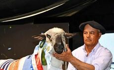  A new Argentinian all breed and a Hampshire Down world record of $80,000 (£61,000) was set at the El Harem sale