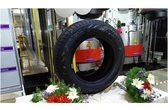 Apollo Tyres commissions AP Greenfield facility