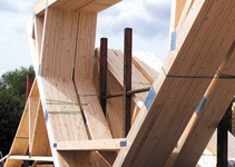 Timber website is online first