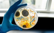 Deal focus: Loam Bio's agri-climate offering resonates with investors