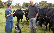 The changing face of vet and farmer communication