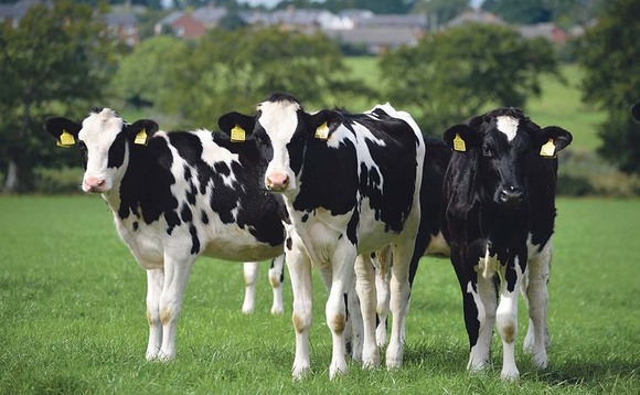 Measures taken to combat BVD on the up