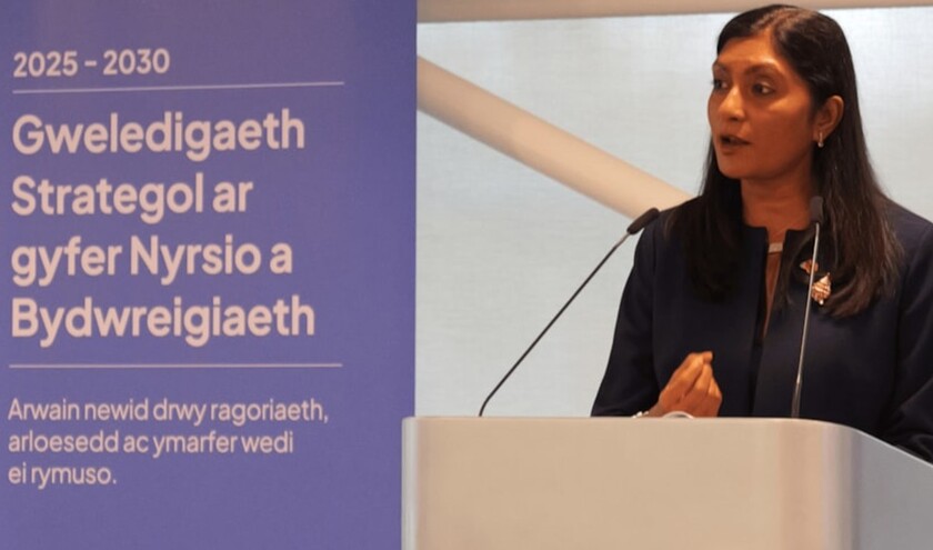 Sue Tranka © Welsh Government