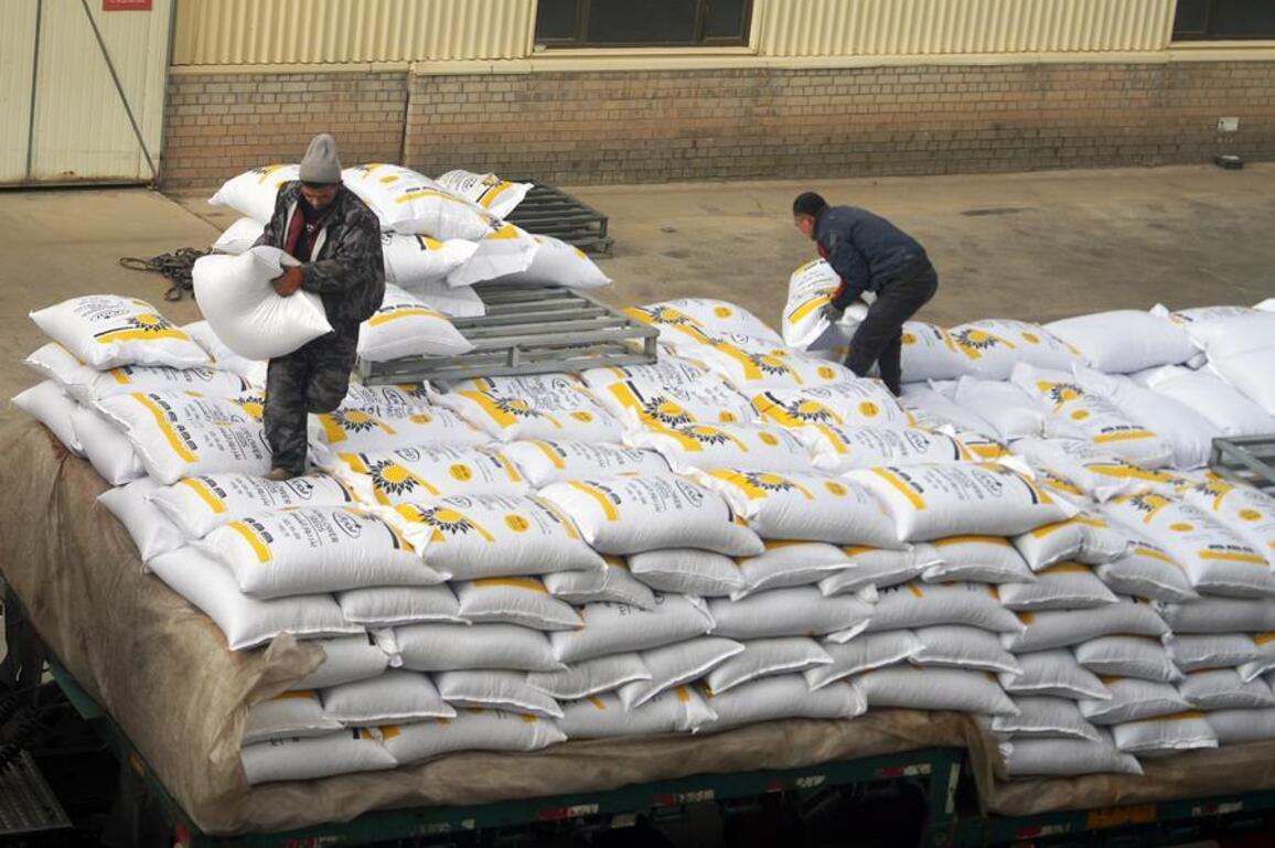 China's sunflower seeds find global appetite