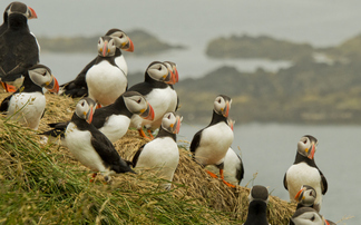 'Painfully clear': Report warns the UK is running out of time to deliver on nature promises
