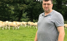 Grazing and nutrition transforms flock performance