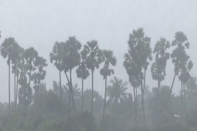 Cyclone Ditwah: IMD issues yellow alert across various districts of Tamil Nadu, Puducherry for next 3 hours