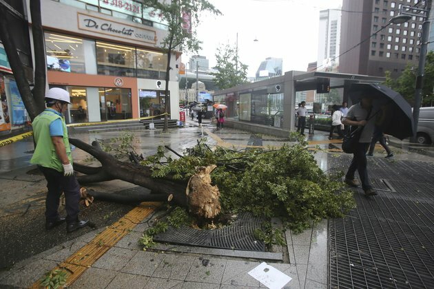 Typhoon Kills 5 in North Korea, 3 in South Korea