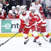 Wings, Islanders on upward trend entering matchup