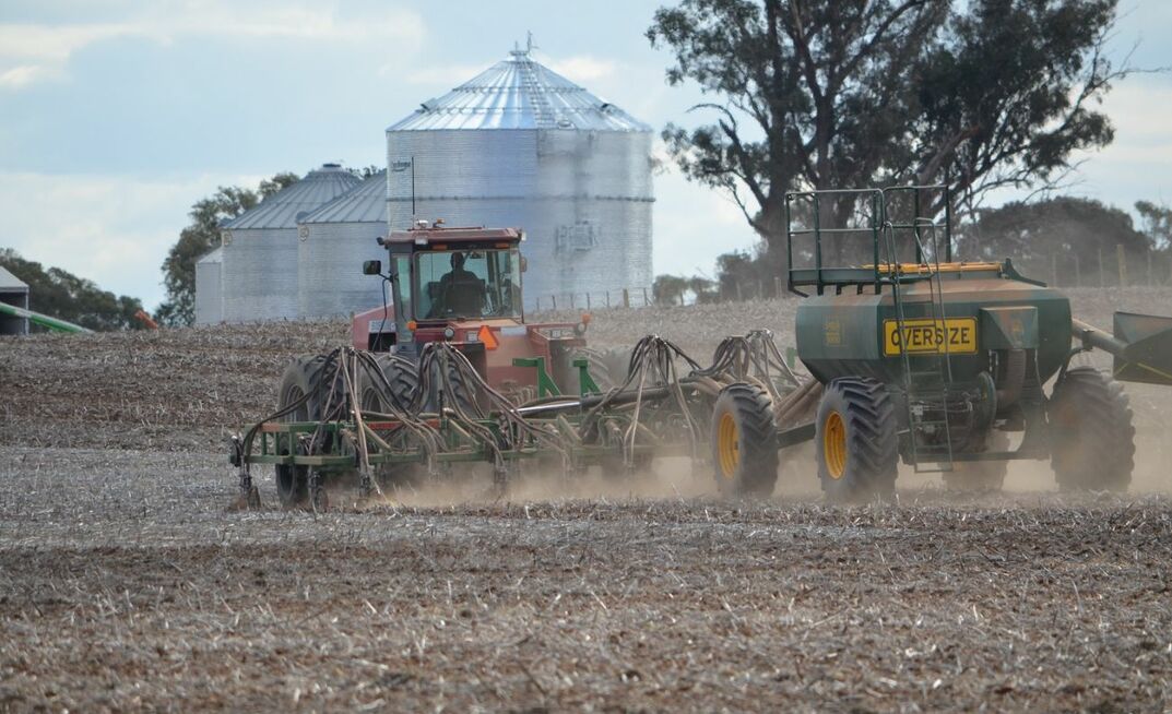 After a dusty start to the season, crops are up and away in WA. 