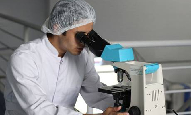 Breakthrough study 'grows' skin from tissue to heal wounds Breakthrough study 'grows' skin from tissue to heal wounds