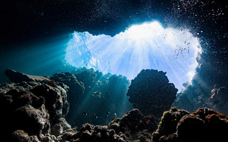 'We must stop': Marine scientists call for permanent ban on high seas exploitation