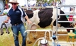 Scholarship recipients to learn dairy manufacturing from experts