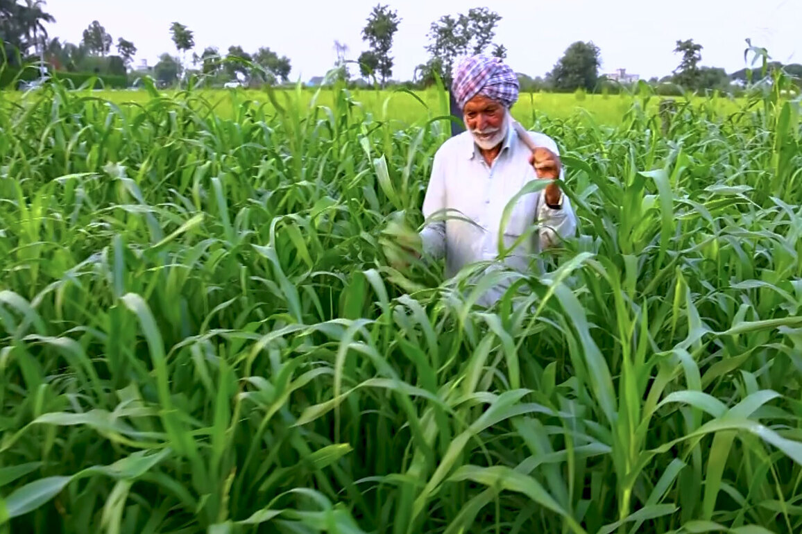 From farms to digital India a story of inclusive growth