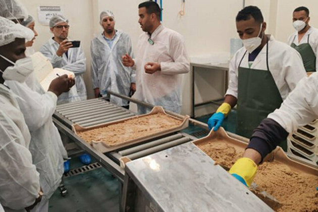 International Day of Plant Health: Suppressing Fruit Flies in Africa