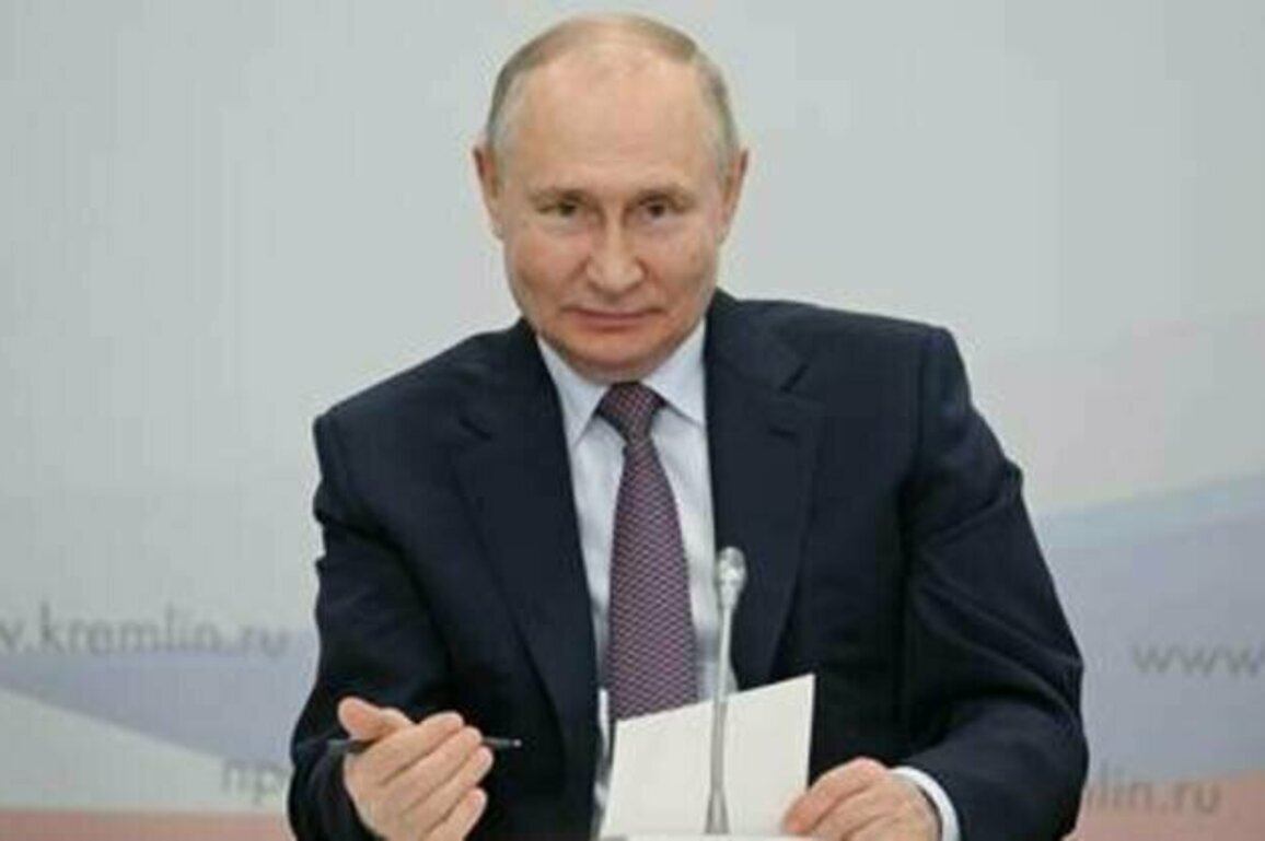 Africa deserves 'rightful place' in deciding world's fate - Putin