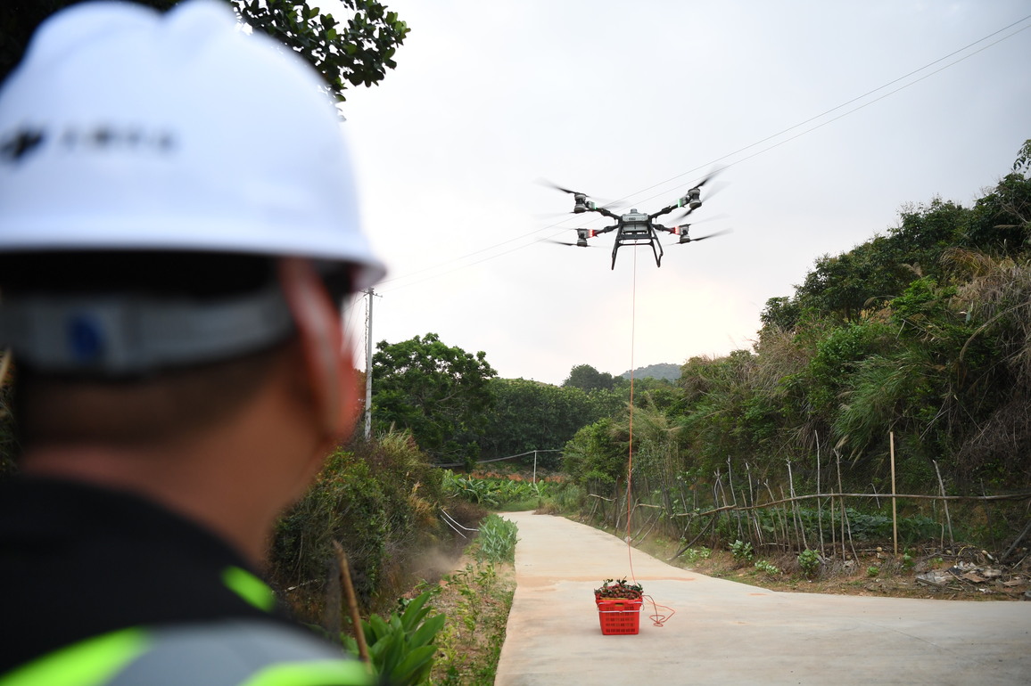 CHINA-GUANGDONG-GAOZHOU-LYCHEES-DRONE DELIVERY (CN)