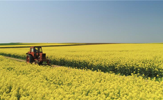  PepsiCo and Soil Capital team up for rapeseed regenerative farming push