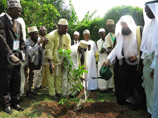  ufti enk watering the tree he planted